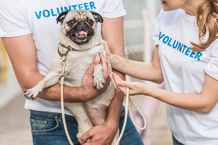 两名持有小狗的动物收容所志愿者的作图片