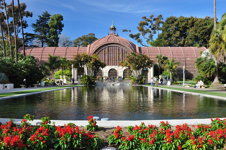 红色花朵架设了植物建筑和加利福尼亚州圣地亚哥市Balboa公图片