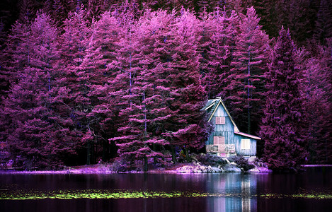 紫红色风景只有别墅在平静的湖边图片