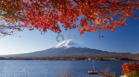 日本河口湖富士山和秋叶图片
