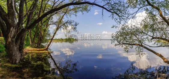穿过树林的蓝湖塞利格图片