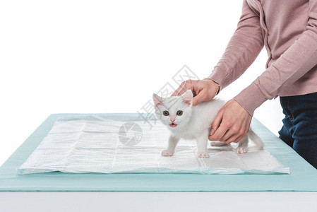 白种背景孤立的桌上有小猫的妇图片