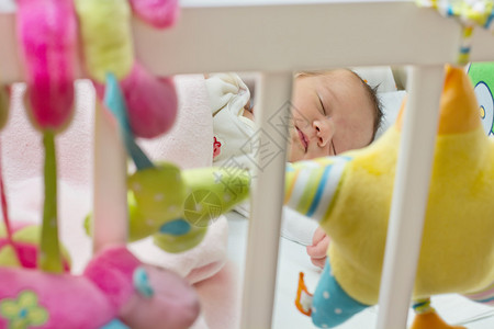 睡梦中新生婴儿的肖像透过婴儿图片