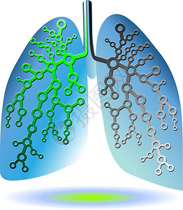 肺部诊断图片