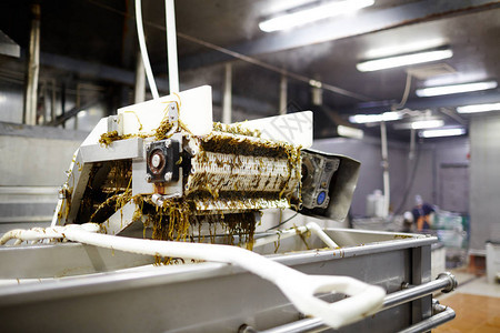 在海产食品加工厂罐头之前混合海草沙拉的工业自动机图片