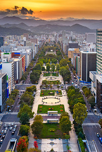 札幌日本城市景色在黄昏图片