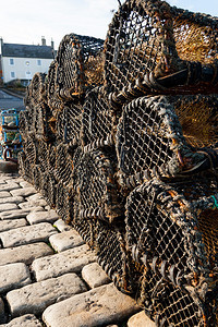 苏格兰商业码头可腐烂石头上的龙图片