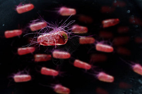 大肠埃希氏菌又称大肠菌健康科学概念图片