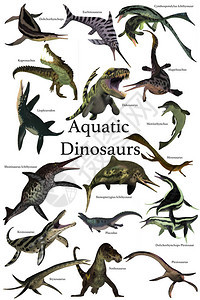 来自史前不同时期的各种海洋爬虫恐龙集成于一身这是人类历史上图片