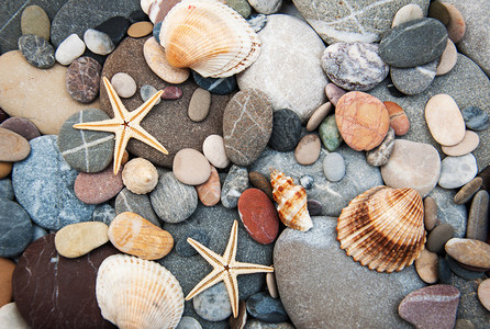 鹅卵石不同的贝壳和海星的背景图片