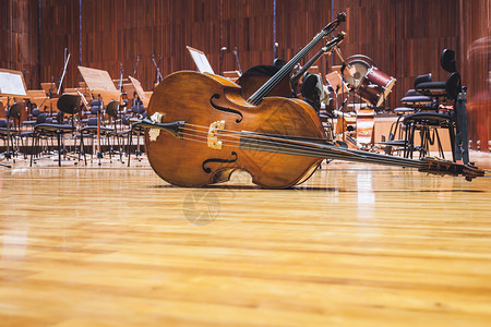Cello音乐器舞台音图片