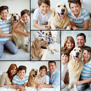 收集现代家庭的照片养狗周末在背景图片