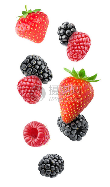 孤立的浆果草莓黑莓覆盆子和蓝莓水果在白色背景中与图片