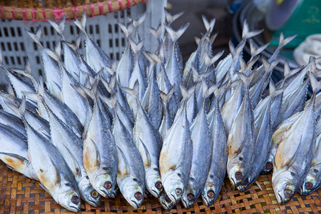 干海鲜用于保存食物的干鱼图片