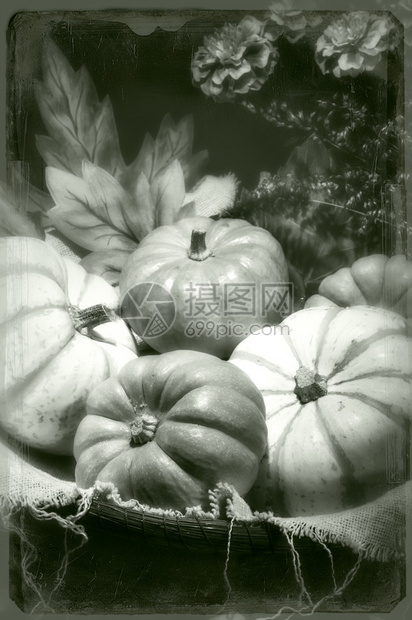 Pumpkins仍然活生的锡型黑图片
