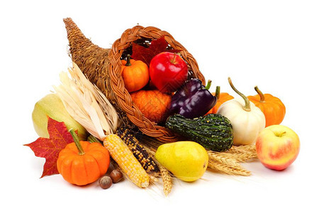 满水果和蔬菜的感恩节玉米面粉白种图片