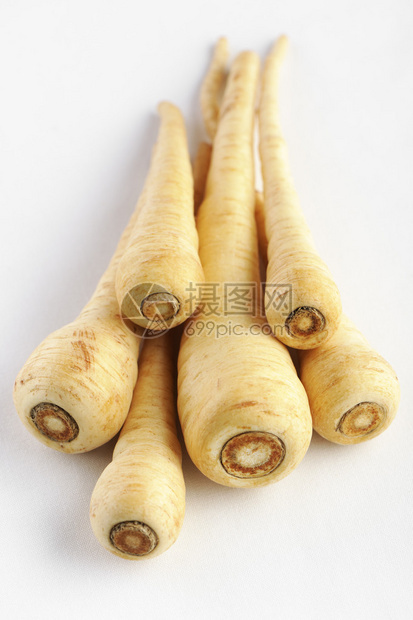 在白色背景的Parsnip图片