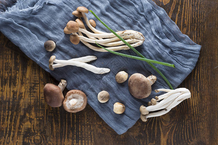 木板上的草蘑菇茶蘑菇芝麻蘑菇等混合剂图片
