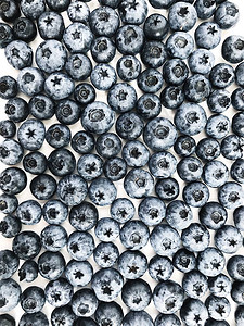 白色背景上的浅蓝莓平面图案顶级图片