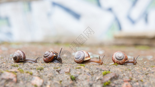 在环境中向前推进的小图片