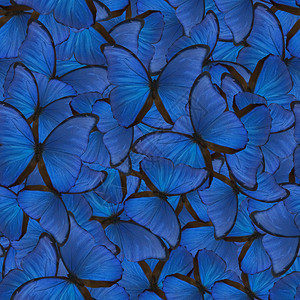 蓝色大闪蝶的无缝背景背景图片