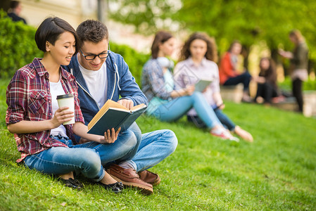 户外一起学习的大学生图片