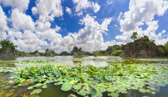 风景生态旅游与大型莲花池湖一起吸引游客在周图片