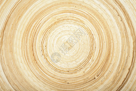 自然现代木圆环的美丽质感图片