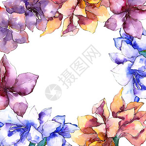 水彩紫色孤挺花框架边框装饰广场背景纹理包装图案框架或边框图片