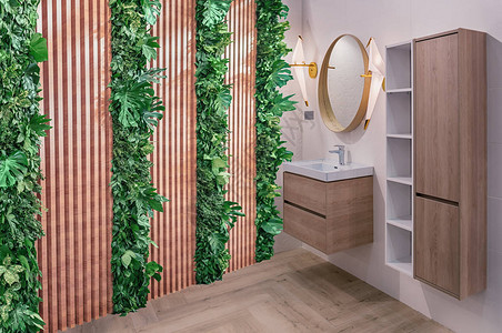 卫生间内部的垂直景观木板的隔板和活植物的插入物洗脸盆图片