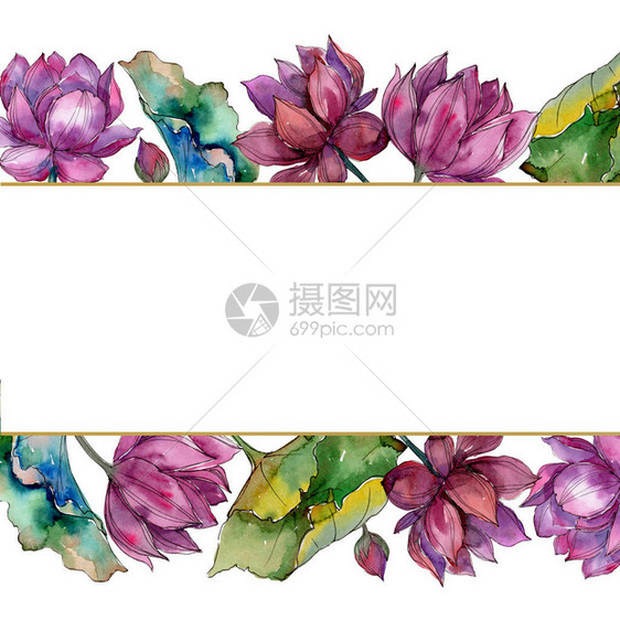 粉红色的莲花卉植物花框架边框装饰广场背景纹理包装图案框架或边框图片