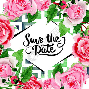 水彩粉红玫瑰花卉植物花框架边框装饰广场背景纹理包装图案框架或边框图片