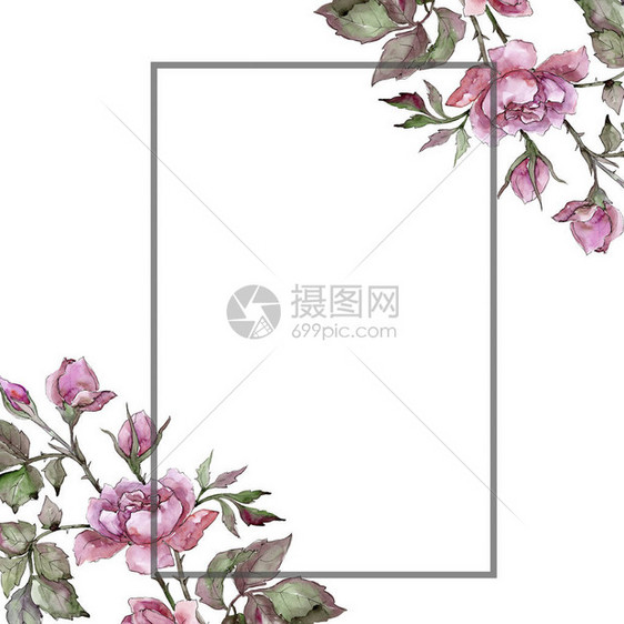 水彩粉色花束牡丹花卉植物花框架边框装饰广场背景包装图案框架或边框图片
