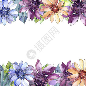 五颜六色的非洲雏菊花卉植物花框架边框装饰广场背景纹理包装图案框架或边框图片