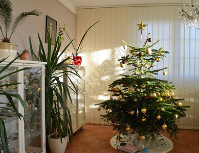 圣诞节在家背景图片