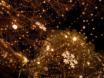Southglenn街道上的第三届年度圣诞树照明科罗拉多州丹佛市图片