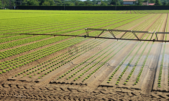 田里自动灌溉系统图片