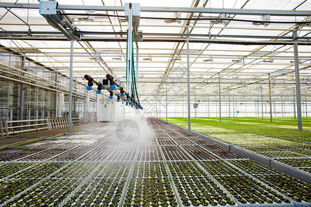 现代玻璃室内喷洒植物树苗上喷水的灌溉系图片
