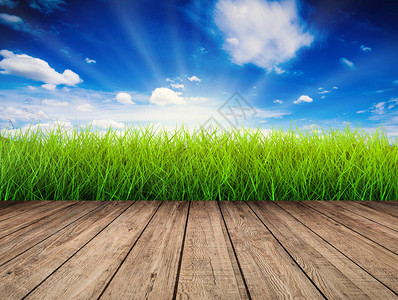 绿草蓝天背景木地板背景图片