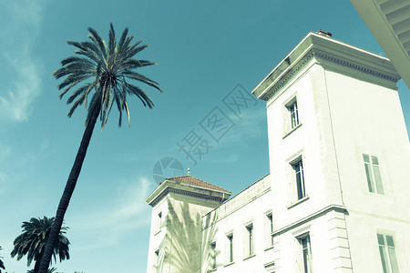 建筑和摇摆棕榈古董图象法国坎纳背景图片