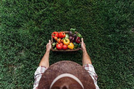 将新鲜成熟有机蔬菜放在篮子里的帽子上图片