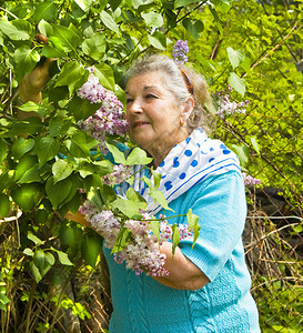 欧洲老太闻到花香在花园的背景图片