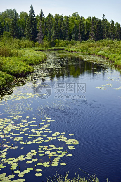 明尼苏达森林狼球星攻防表现全面解析