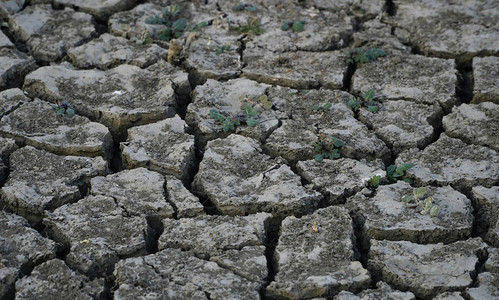 由于缺少雨水而关闭干燥旱和开裂的地面图片