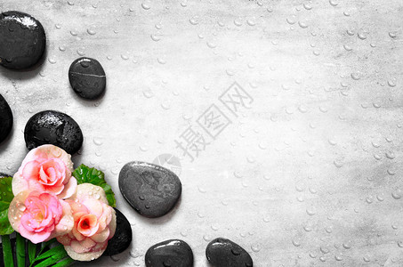 一块粉红玫瑰花在石子图片