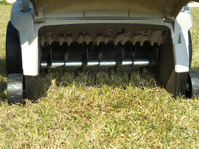 草坪松土机背面特写显示松土机制图片