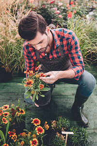 年轻青年园丁在花园工作时把花图片