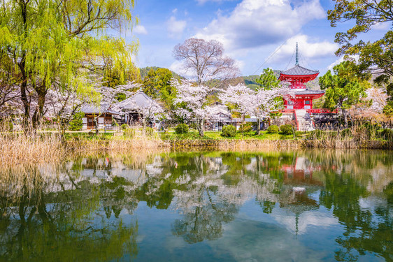 日本京都大觉寺景观图片