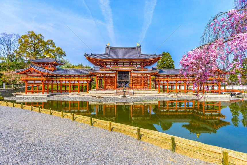 日本京都宇治平等院的春季景色高清图片下载-正版图片502636180-摄图网