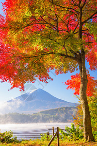 秋天从河口湖出发的日本富士山图片